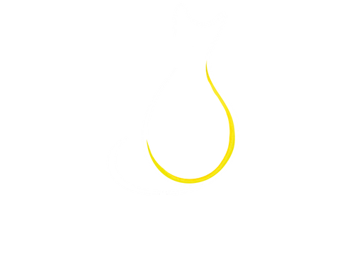 Cat Lighting logo and brand