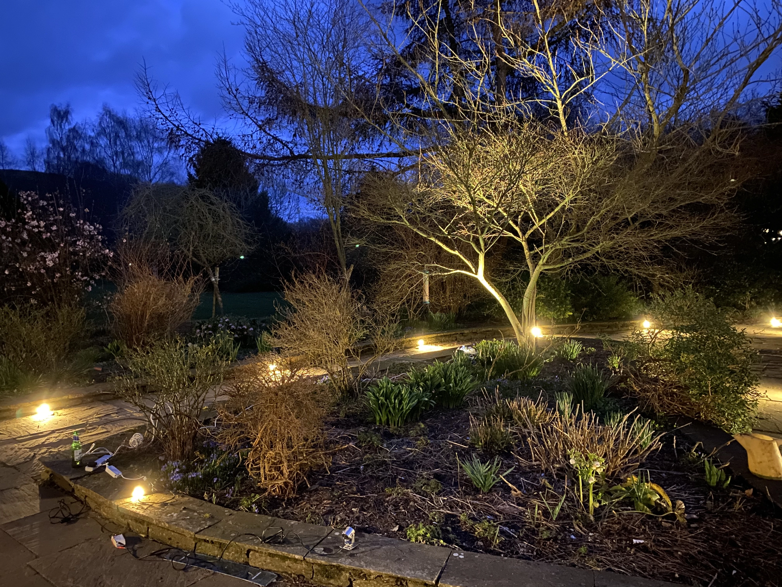 A photo of a garden path illuminated at night. Example of garden lighting design.