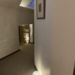 Living Room Cat Lighting Show House
